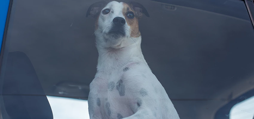 Car Lockout Solutions in Pinole, California