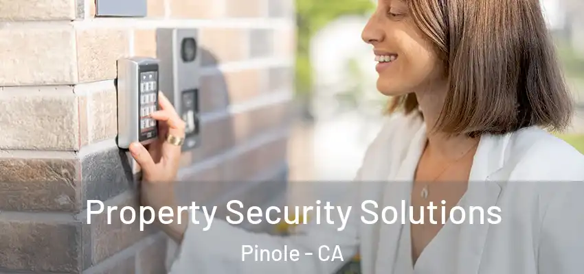  Property Security Solutions Pinole - CA